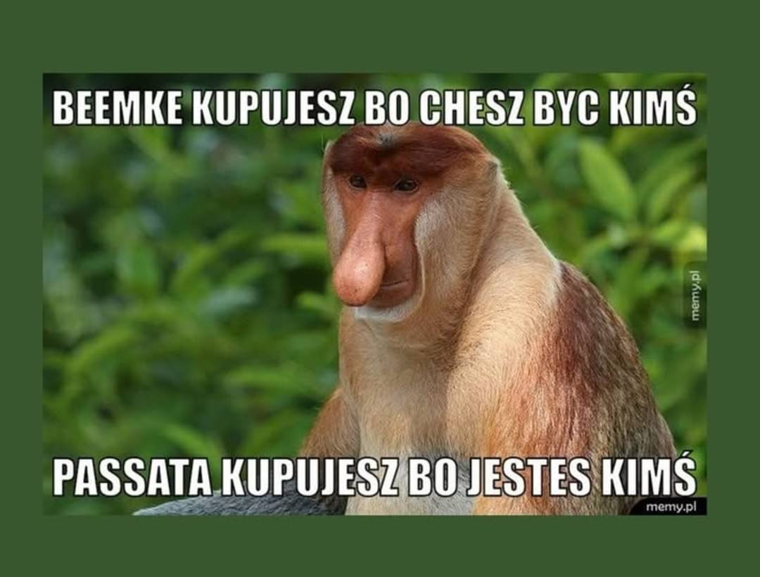 374c3e5e-976d-4af9-809f-f58d592b9d6f