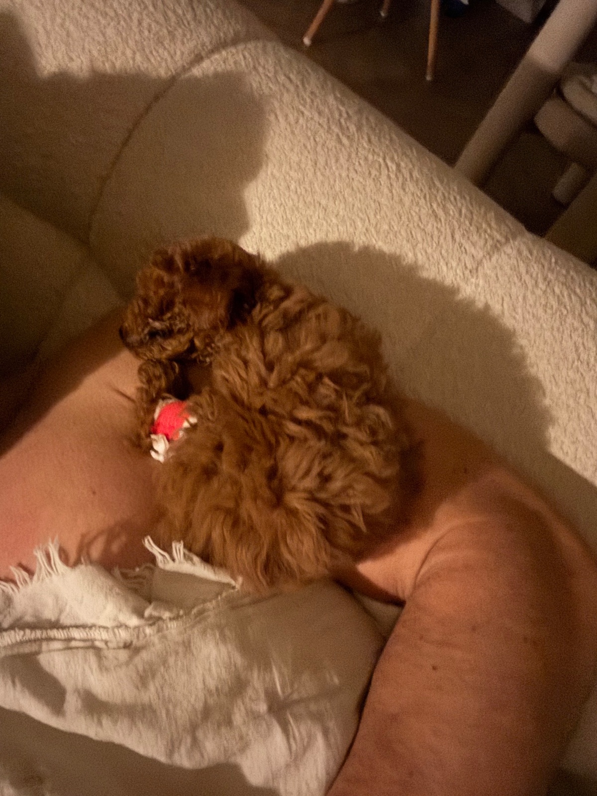 a46b9568-79c6-48f0-90ae-2850d7c7b29f