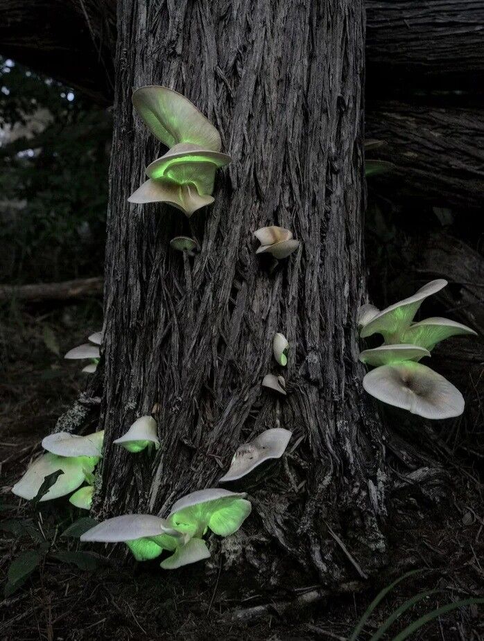 ad2af483-b1c1-4366-8f72-f98fbcc2f692