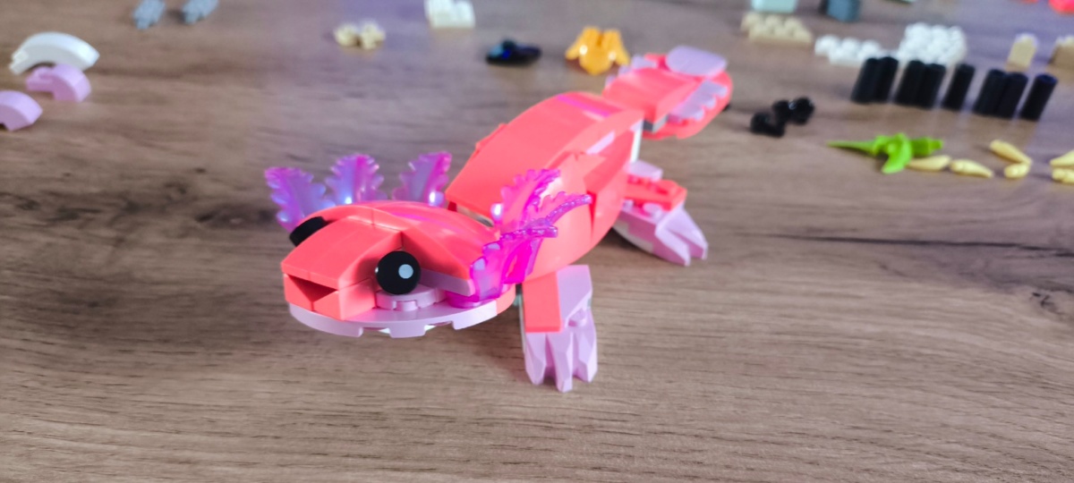 88c740c9-b53a-4c5b-a5ac-46b101af578e