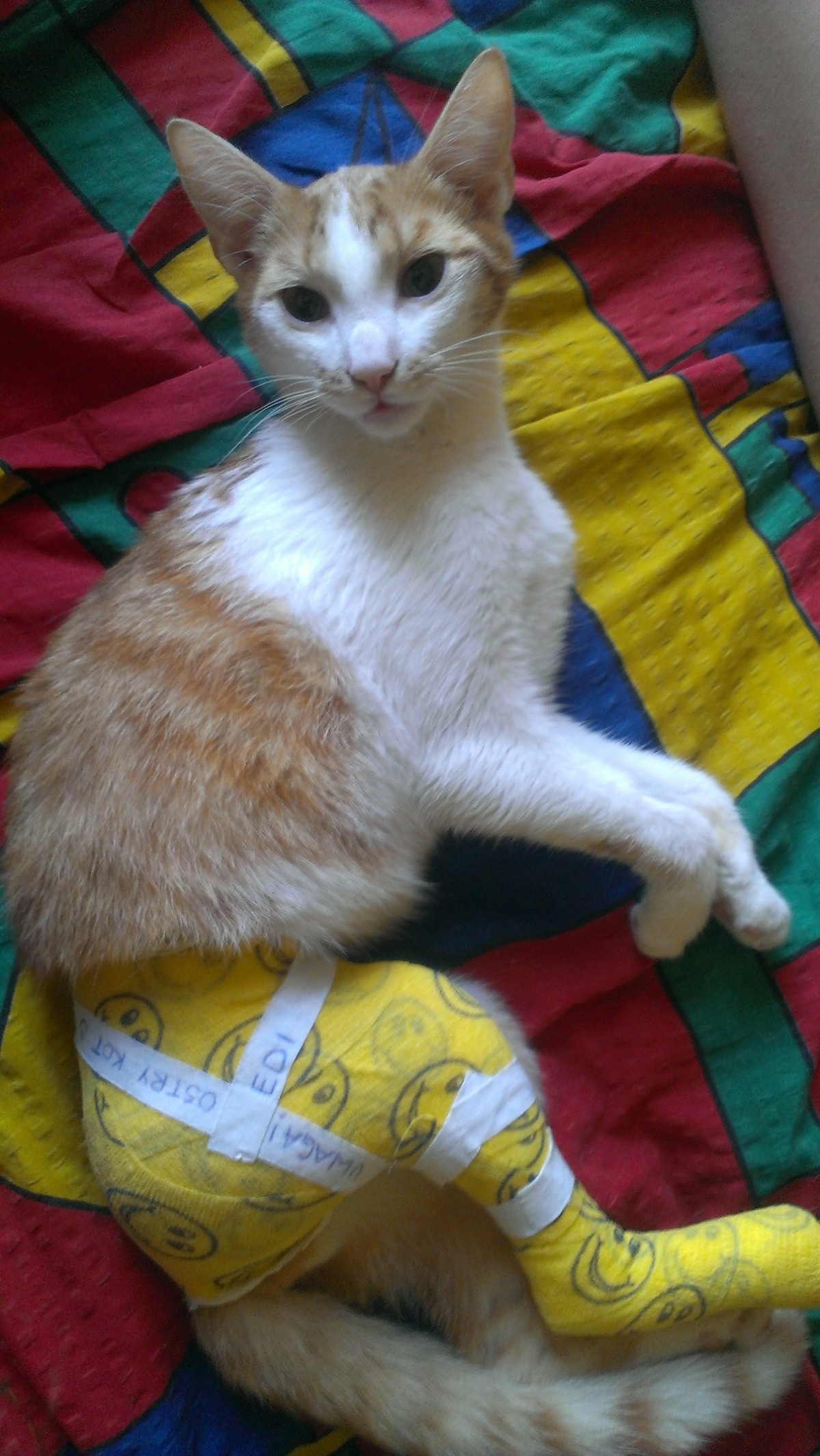 Informatywny tytuł artykułu