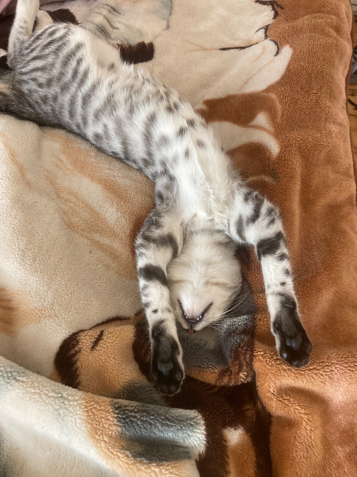 391128c4-ce3a-4d8e-9874-228824ab0af3