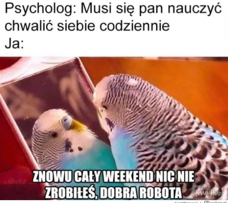 2831f5a0-fdca-4ec4-961c-8cbe701479eb