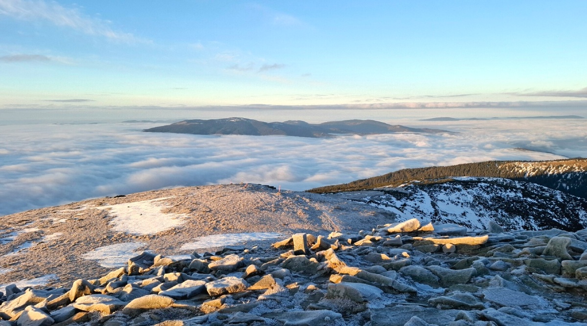 7360fed5-4f90-45d9-aa77-765ea9b676c6