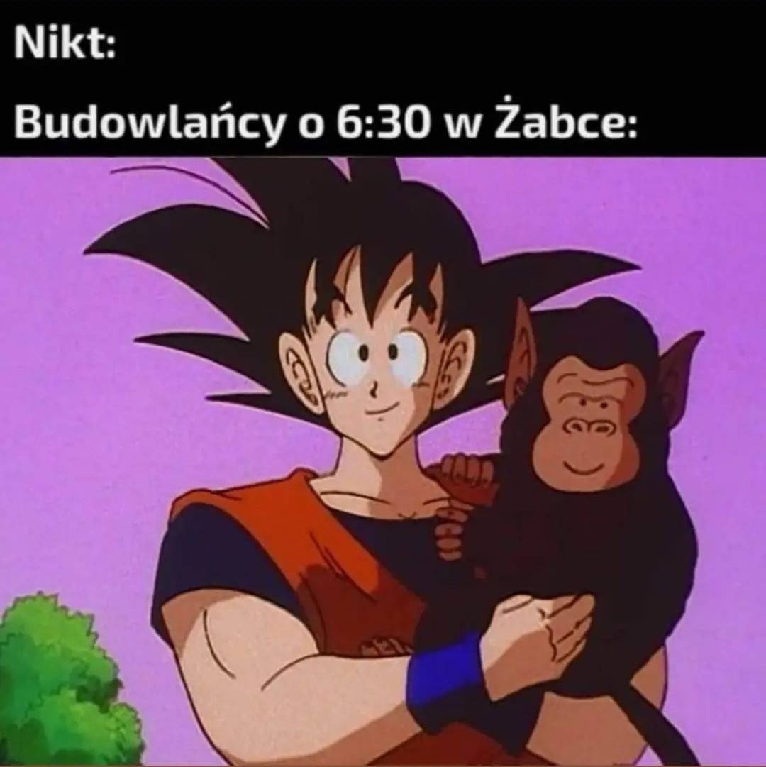 e953a413-e195-44f2-81ac-554905caa24e