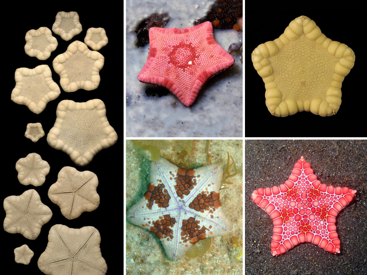 aceab816-1d60-42c9-93cd-d9253a427d90