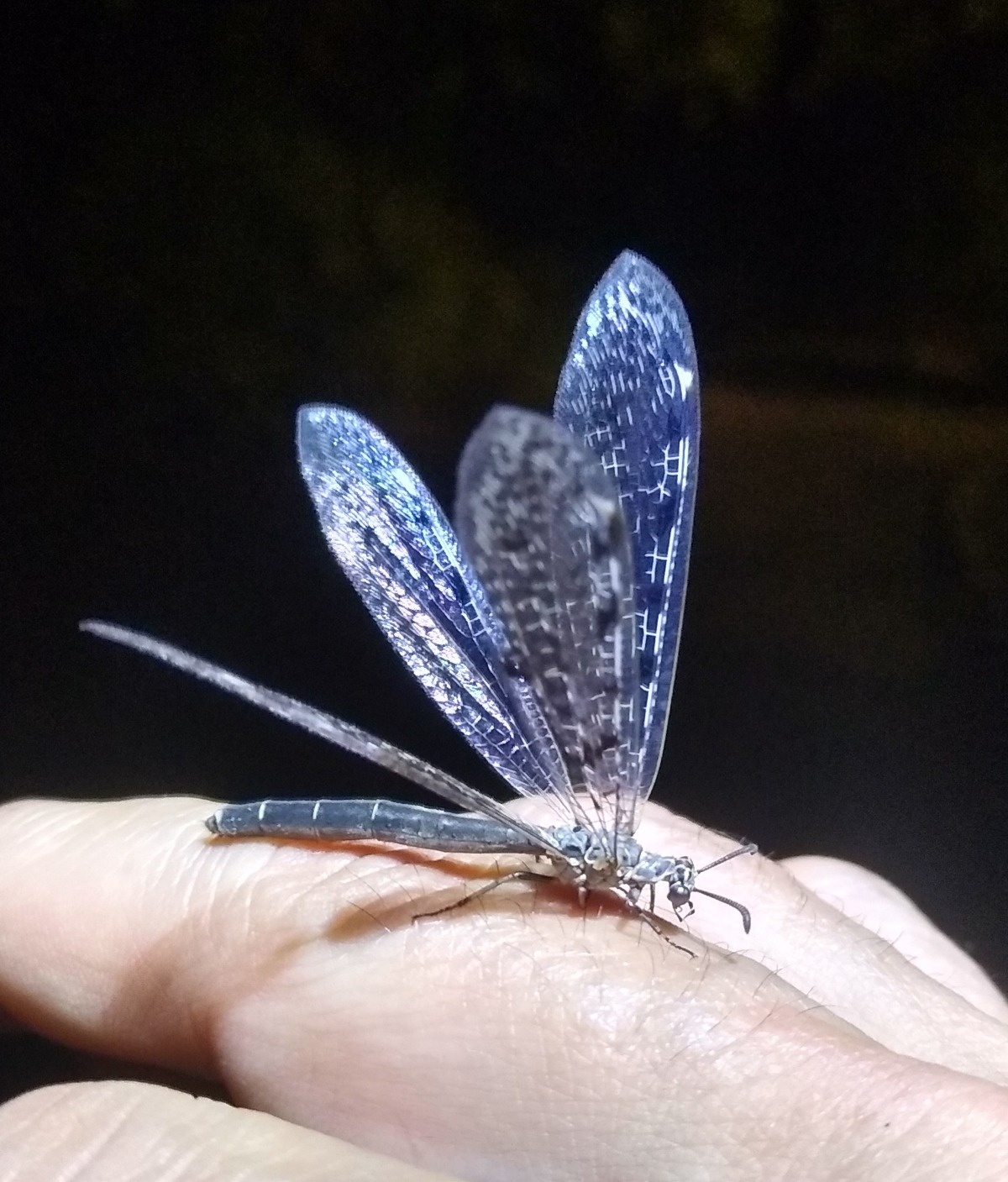 d8cd4576-a4e7-481c-8398-43bed8bbdb7b