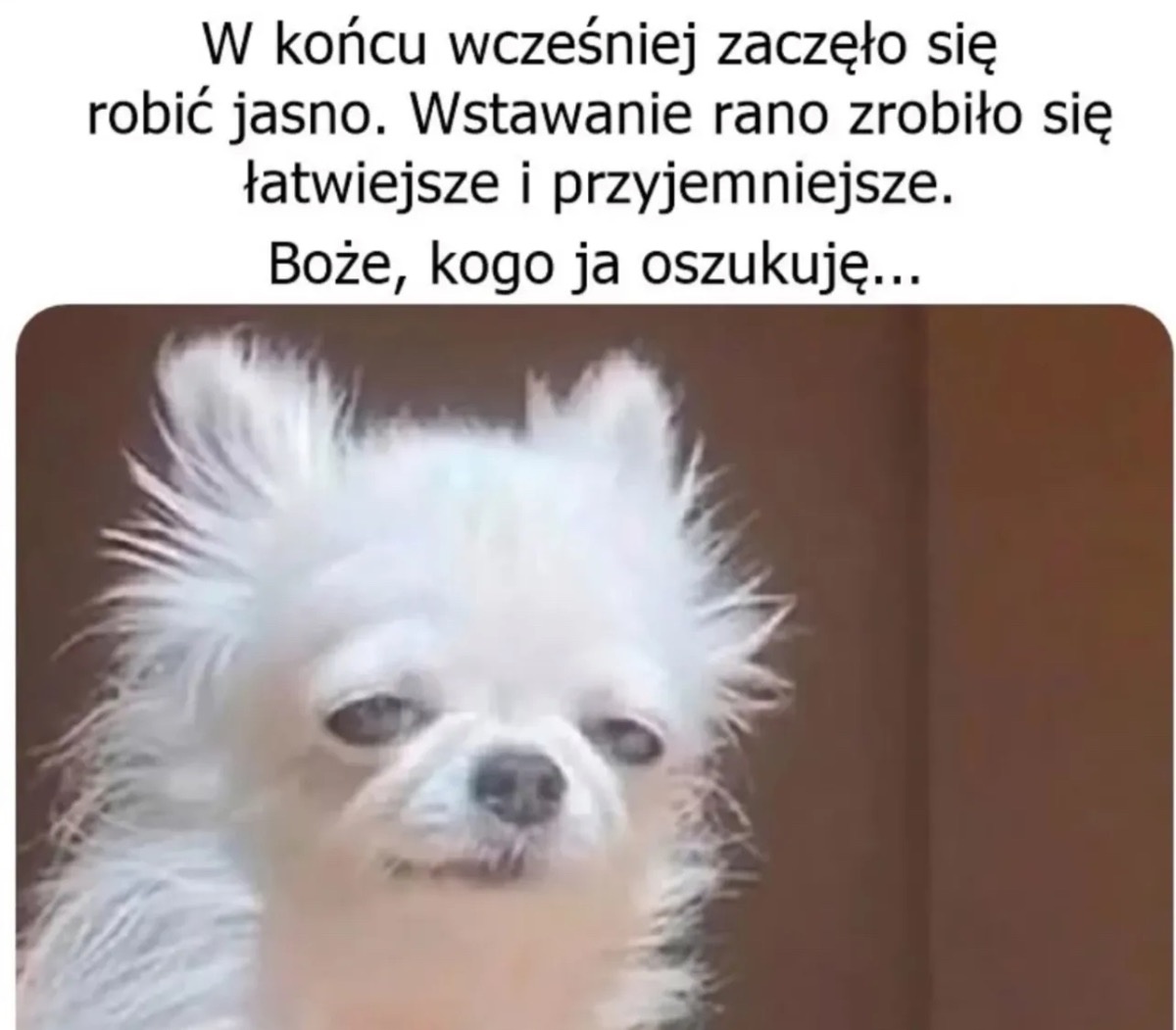 d1522ebf-a137-42a1-a360-34001a19fccc