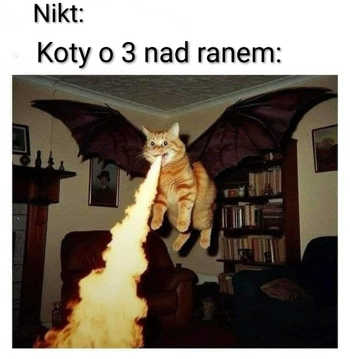 c85b00dc-abc4-48c7-8a07-f72db202f6d9