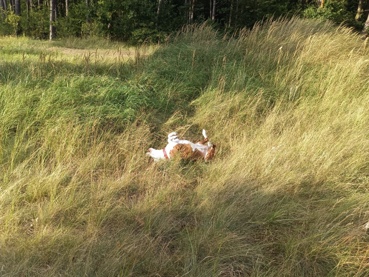 ad89ce97-2073-4119-9b42-5624d714f964