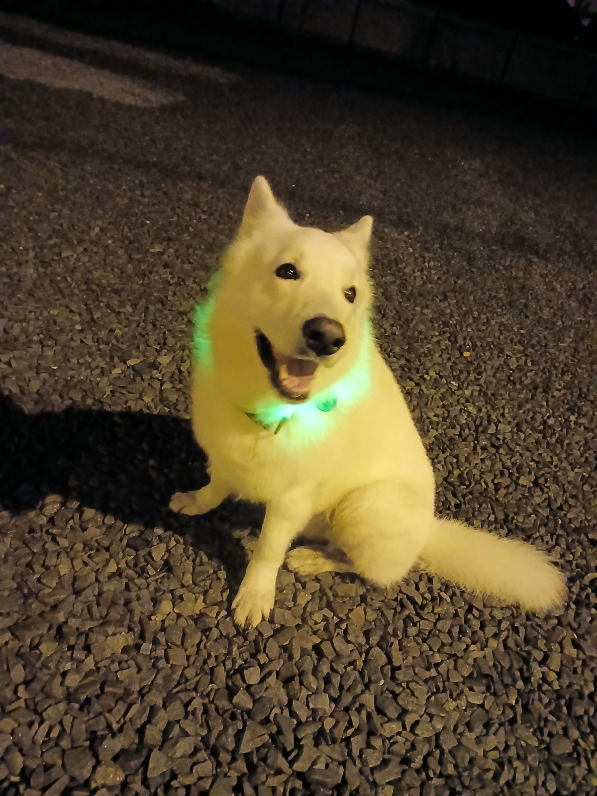 9511161d-0cf8-44f3-8e09-34efb74c50f3