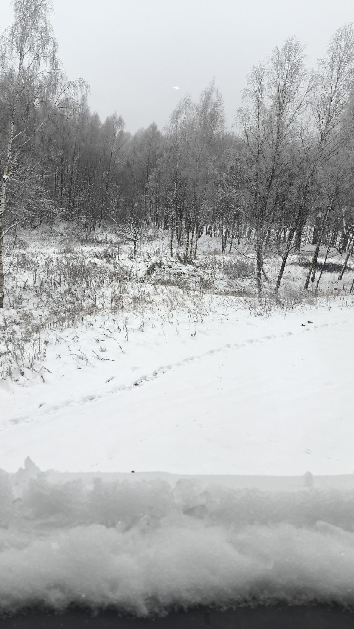 8393e75b-f247-4677-94be-bdbc55283f86