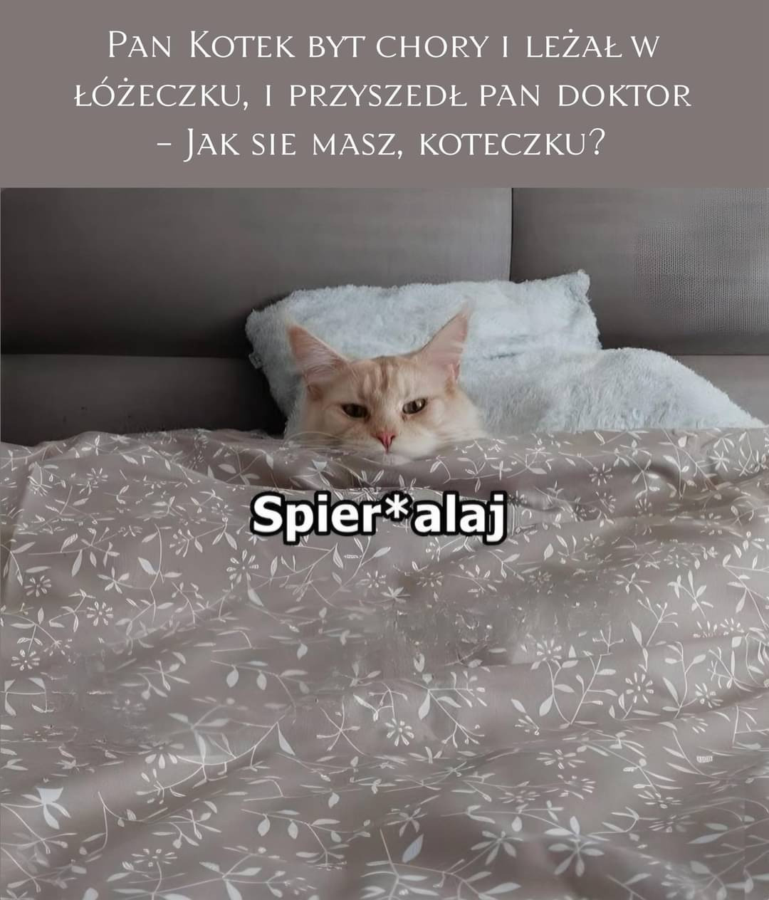 cebaac25-ebef-4f3b-843d-765b7056c4fe