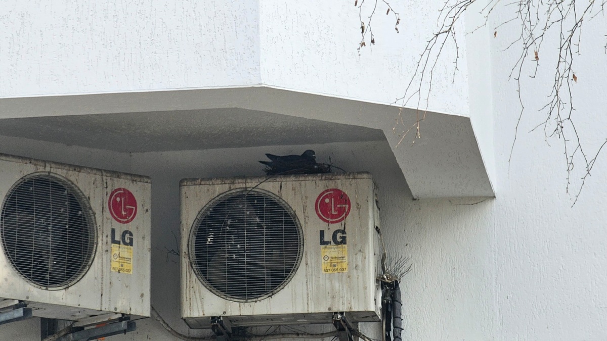 bb0a8638-5010-4d52-9bc4-19bb1e684f4c