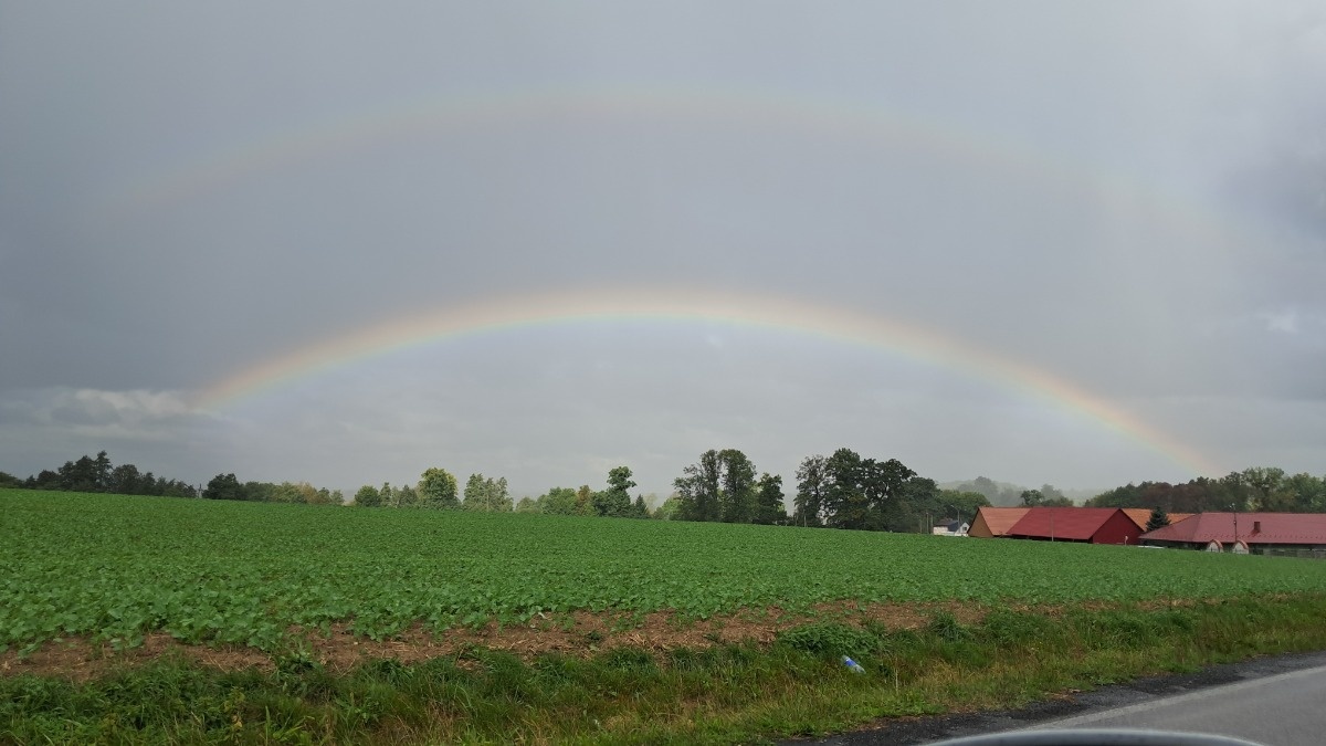 ef2c2b7e-2a87-4606-a6a4-76eb9a9a0a85