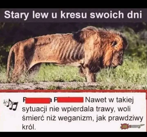 aad6ecf7-4355-47d2-92e0-2089a5b083c4