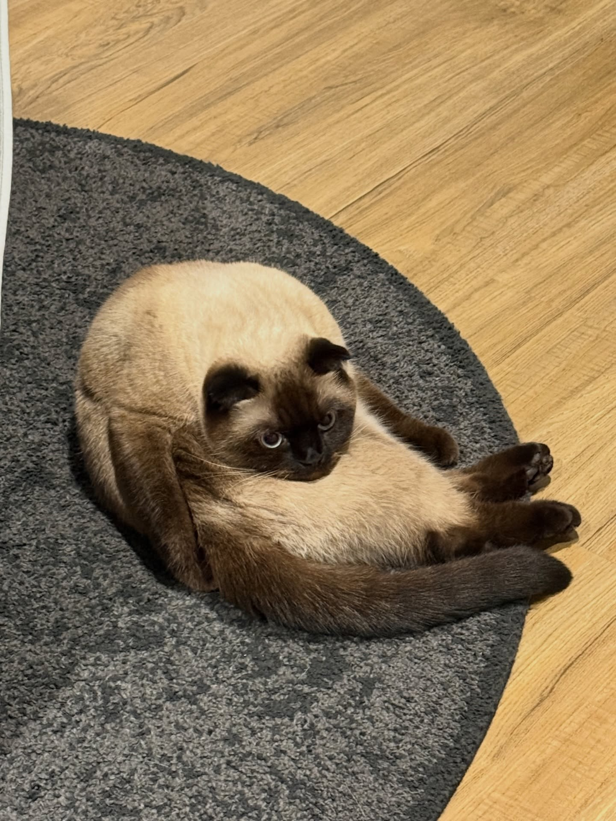 ad72cb97-d379-481c-ad16-cb606da4a5a0