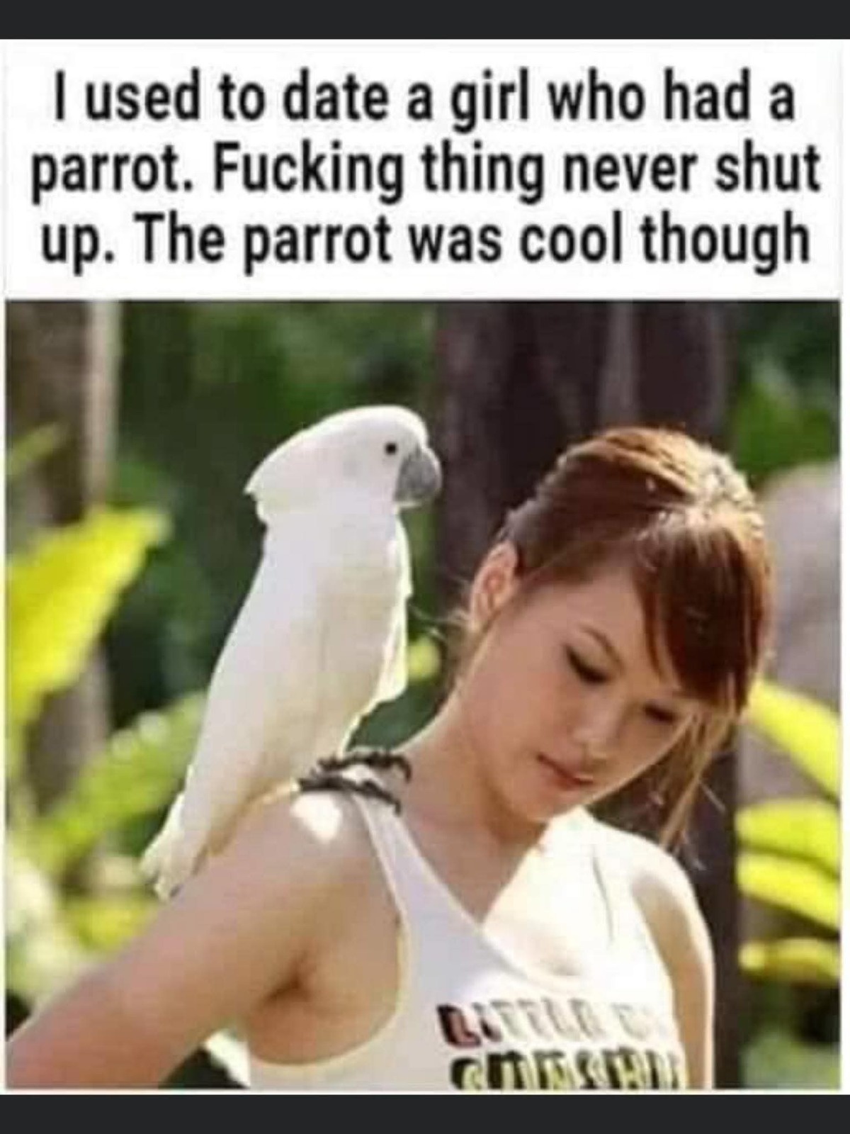 be1ffc8a-2431-4f45-b2e5-6eb74486314d