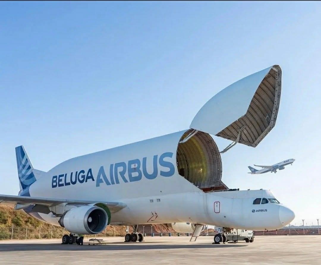 cf095b99-6d98-474c-a52c-d9e0d0f4e8f5