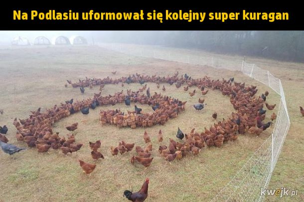 b38e2390-d497-4abb-8c46-e1b65c6debfc