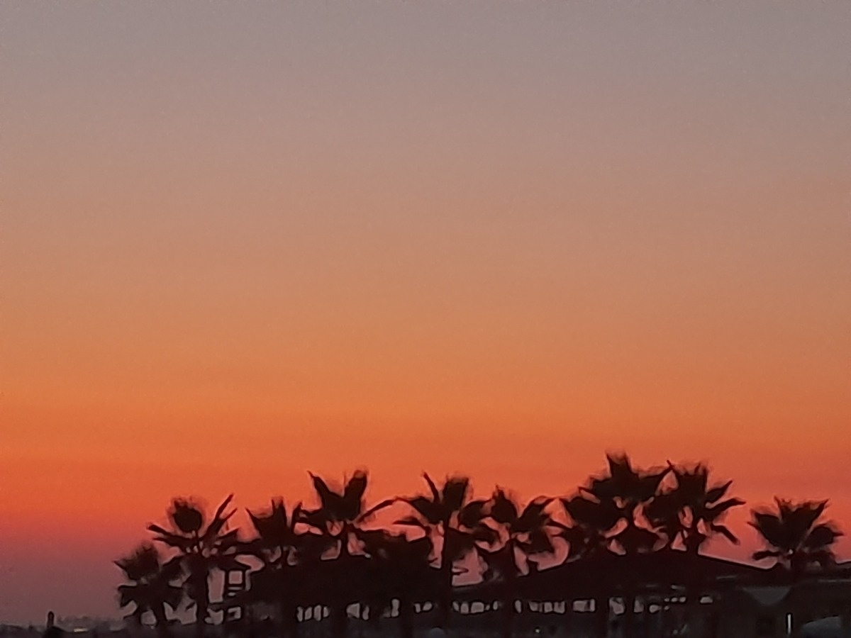 f7796c39-970b-4421-859e-0f8d6dac9b10