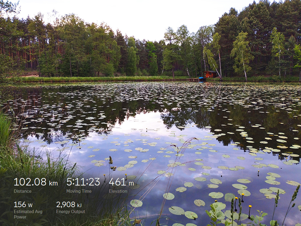 21bb0b94-647d-479b-ba8d-97c50410b703