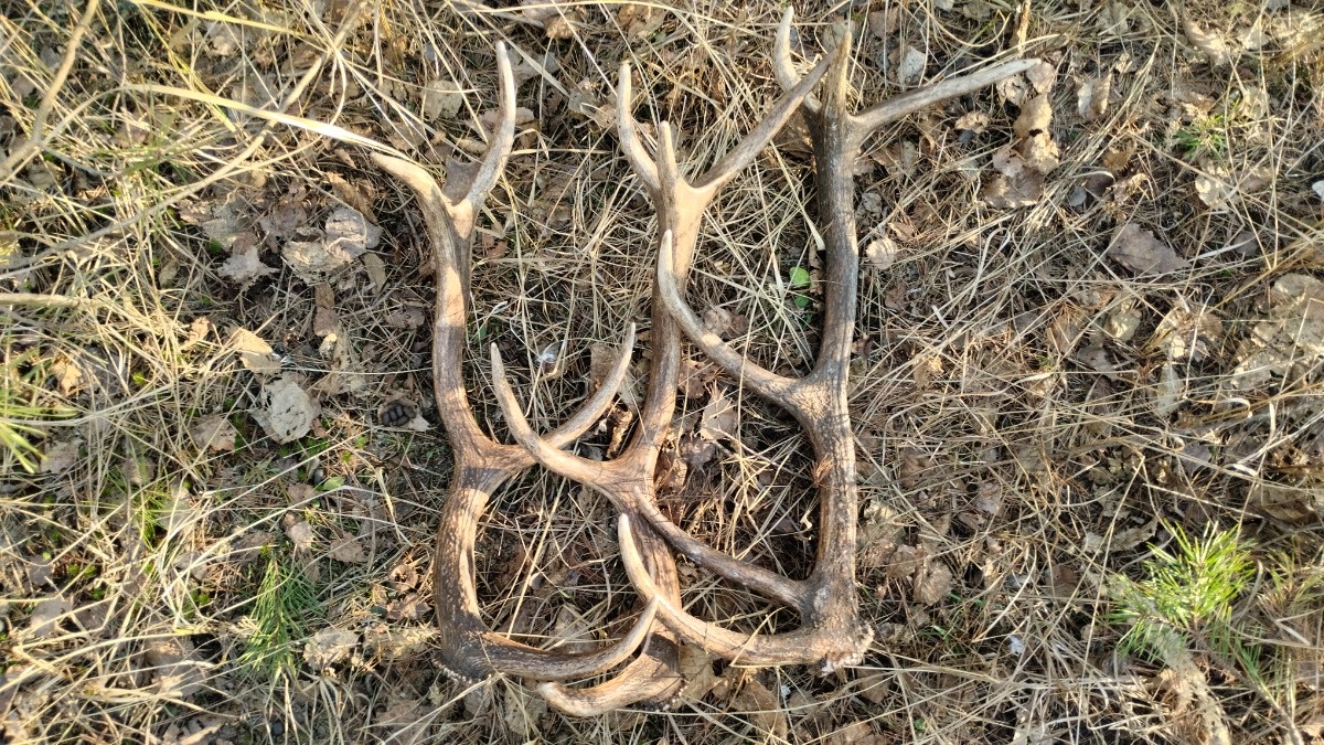 c21e90f6-82d4-48fb-b065-27a73c195f9a