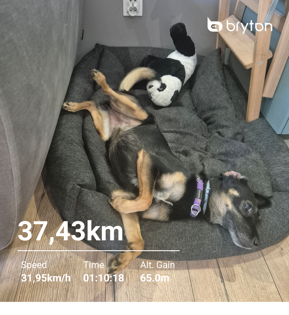 505c5109-09ff-4283-95ea-4a4e6e11787b