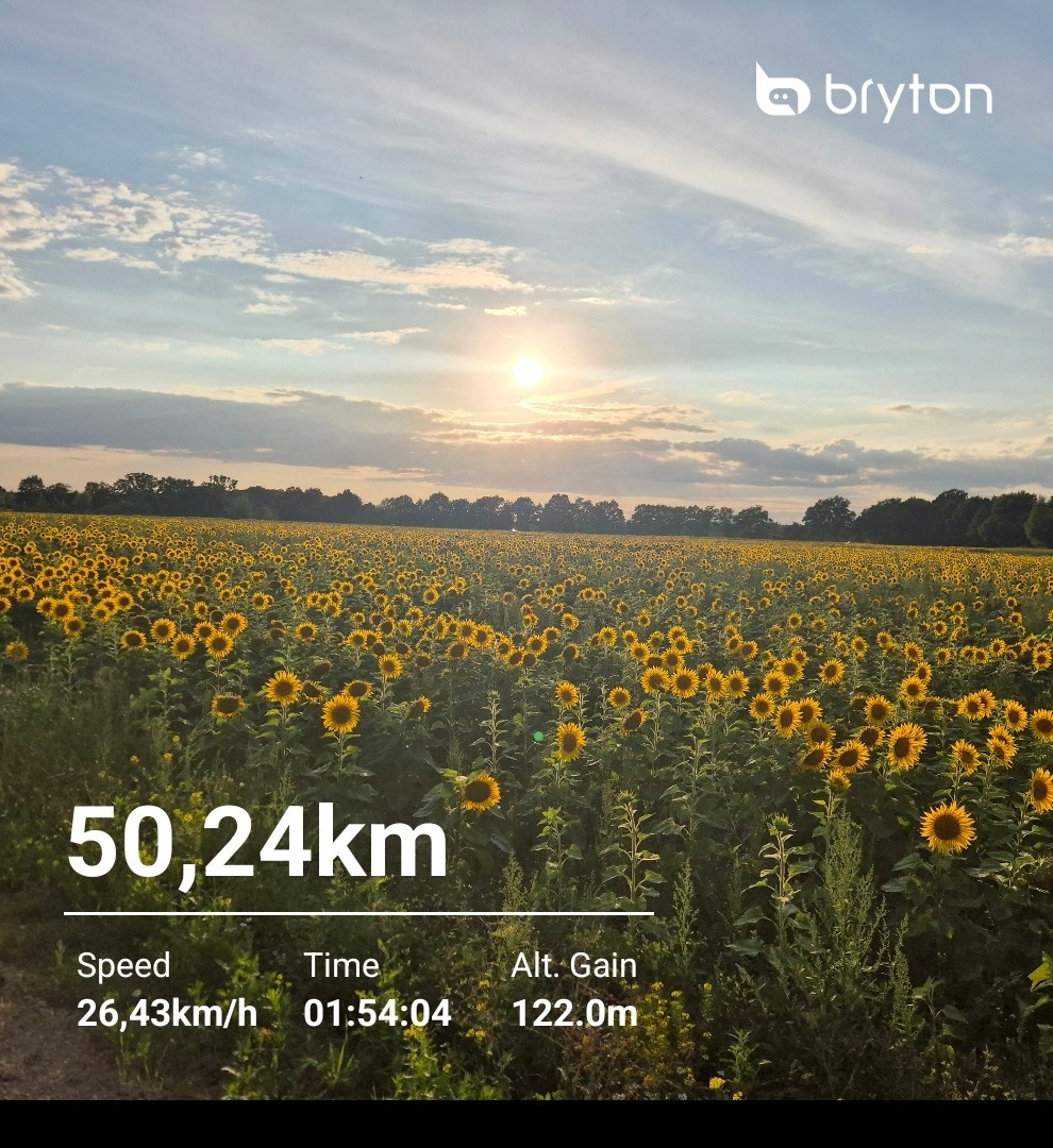 9a02f8fa-7fd6-42de-956f-4248cbab9af8