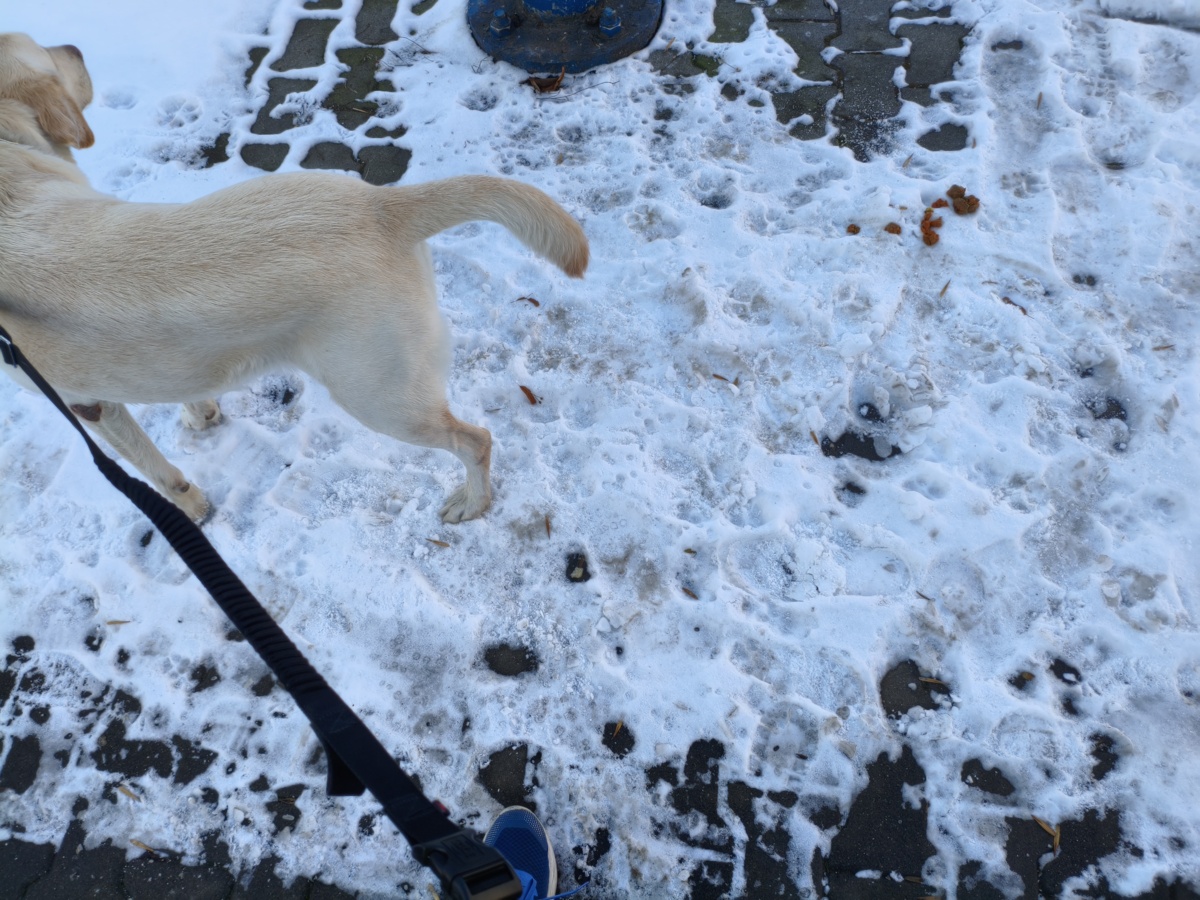 5383db92-da83-445a-ac3d-05682c08ffe8