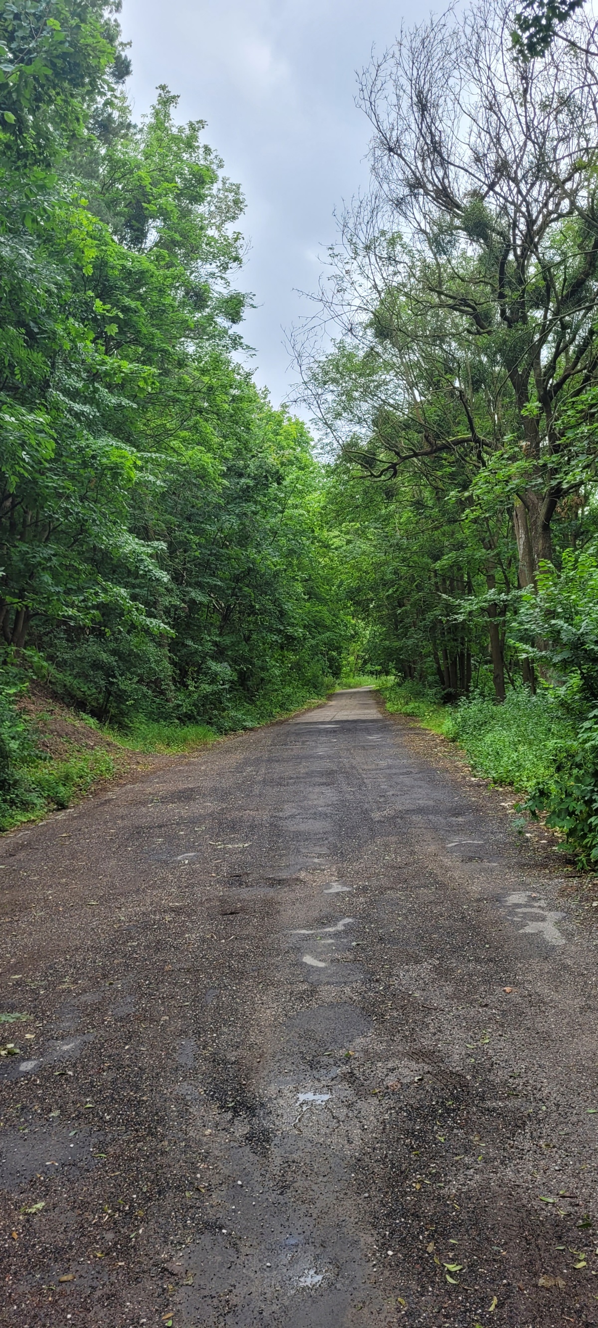 151b5048-ad65-45cd-8f9d-7bf064126d72