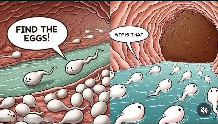 e25566c2-5054-4ad4-a3a8-0144f0ed5575