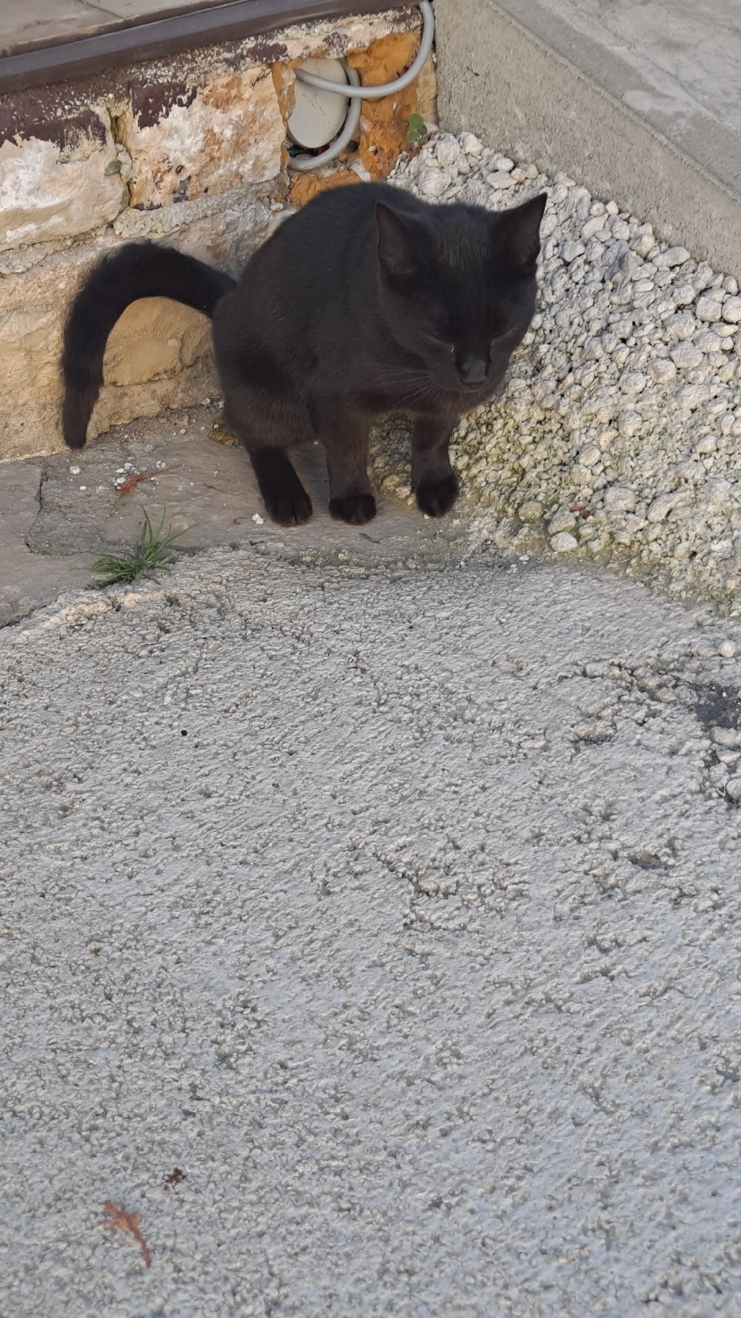 14fceab8-4e66-4a66-a772-6fe5323fc30d