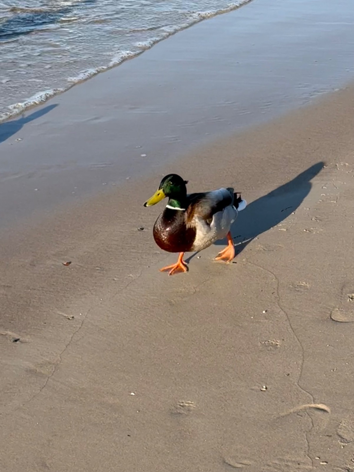 aa60cebf-ae5e-48e5-92c3-4a2fefbb2f71