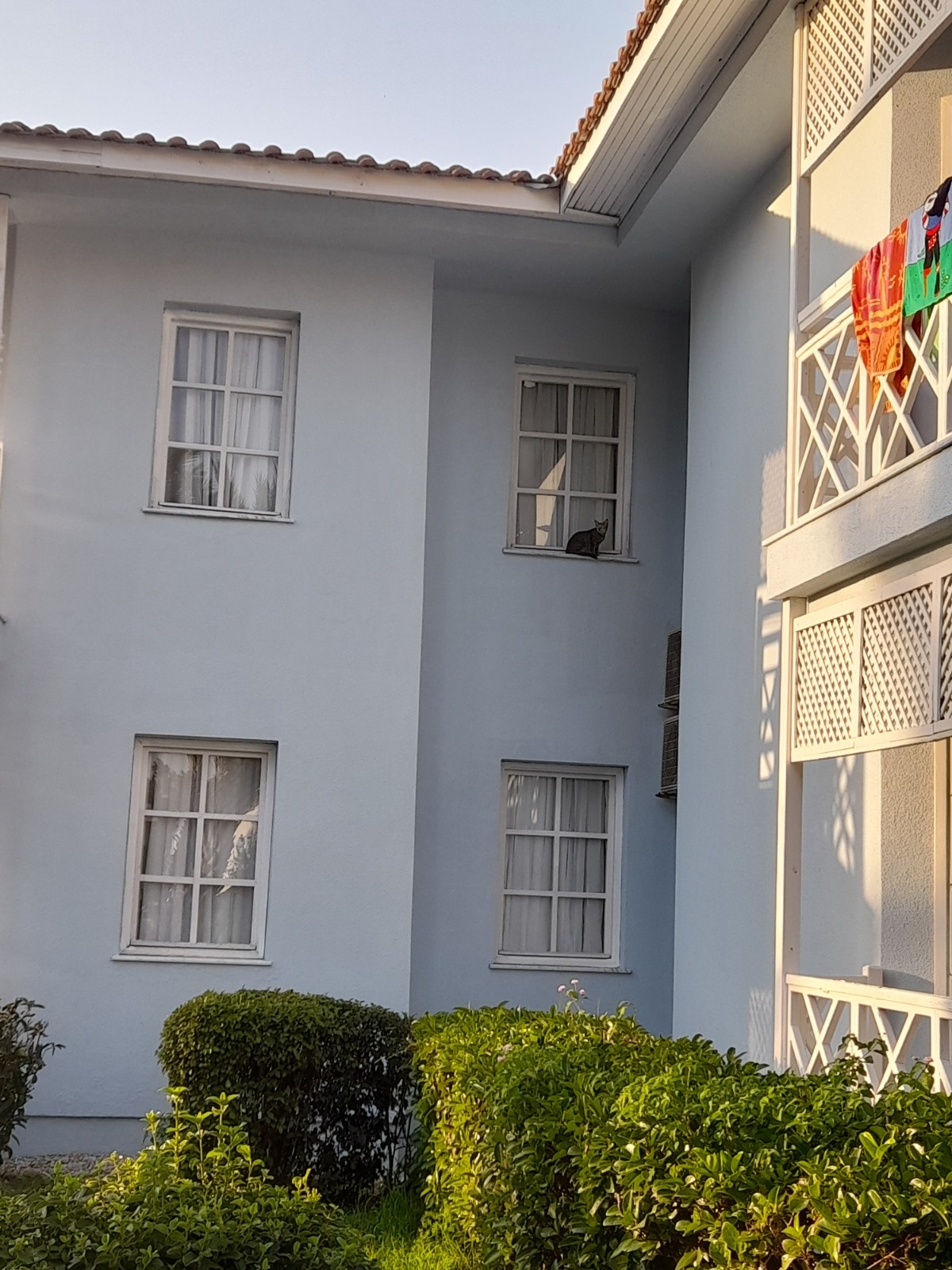 e9a4e7af-2e35-4925-9694-a69b0f12f418