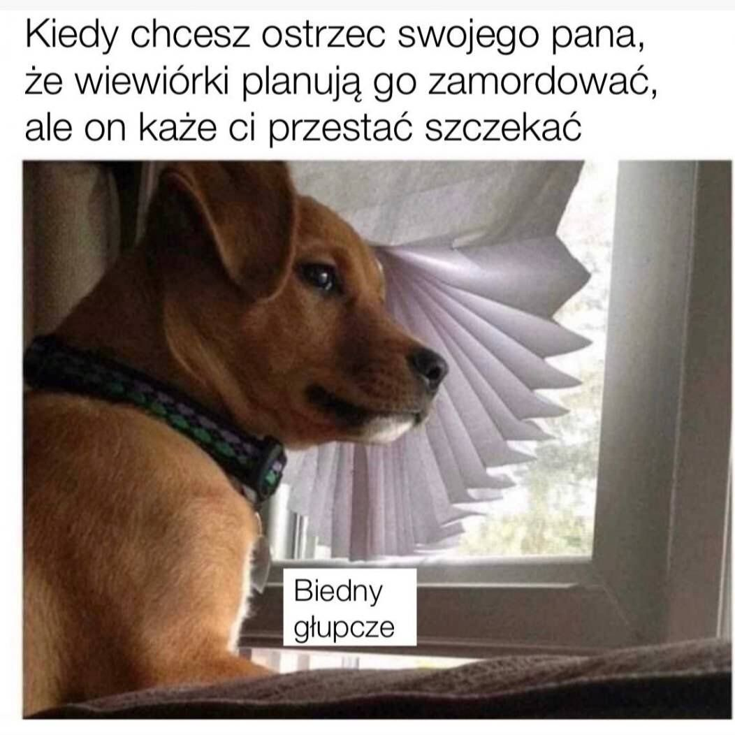 2c71e78d-a979-4a6c-aab2-18cf153862a4