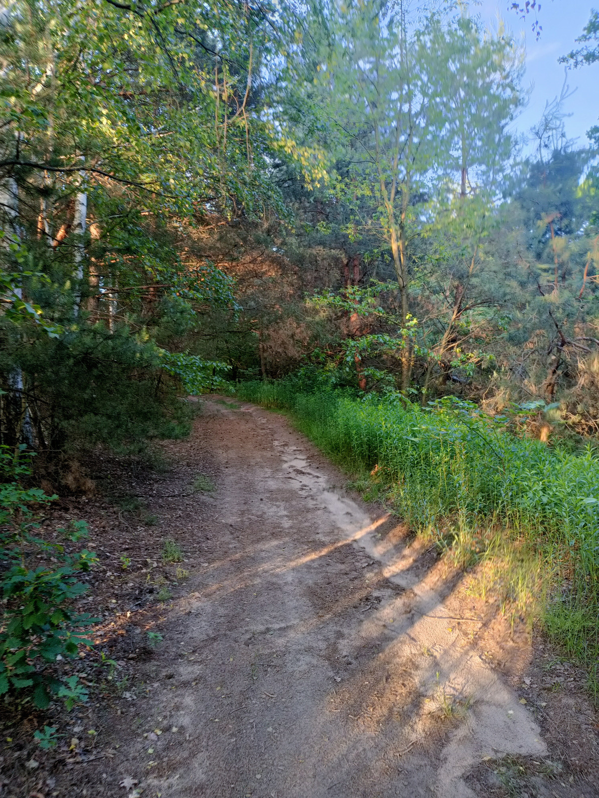 e74fd687-86ff-431c-aeb6-77a58d599f5b