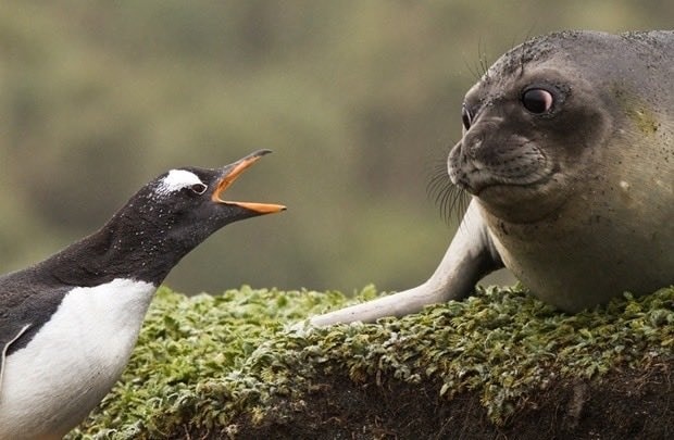 7615ef49-8183-41f8-8bb0-4e014d61b0f8