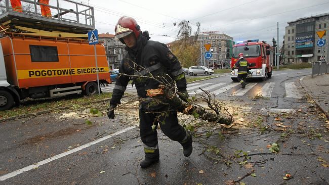 PSP: Ponad pół tysiąca interwencji po wichurach w Polsce. Jedna osoba zginęła