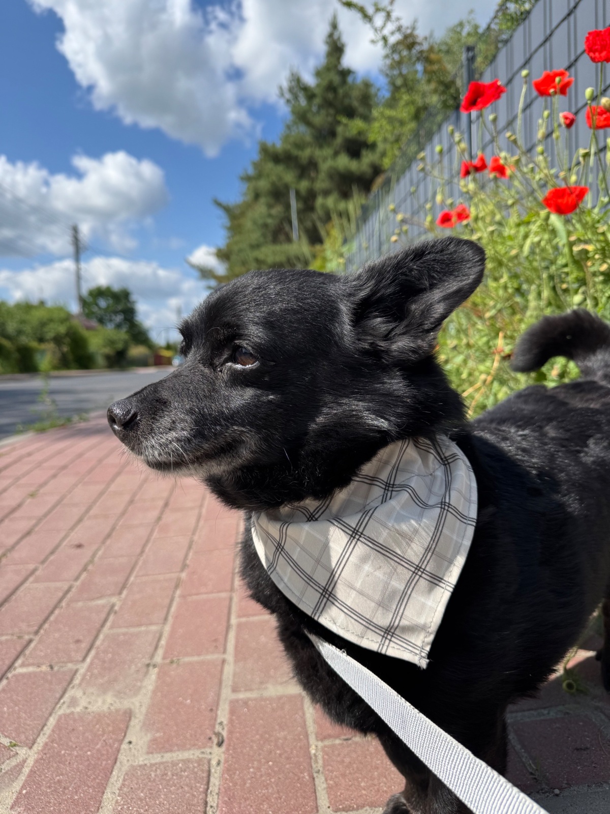 d22cfb2c-0062-4336-a135-cf303af43322