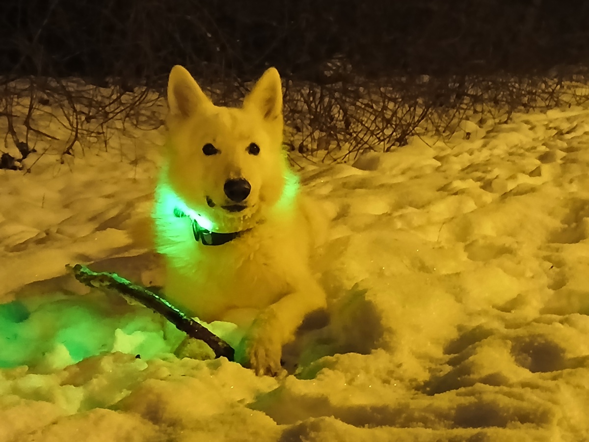 ea39506a-e4b6-47dc-9f43-f0a74bca6be1