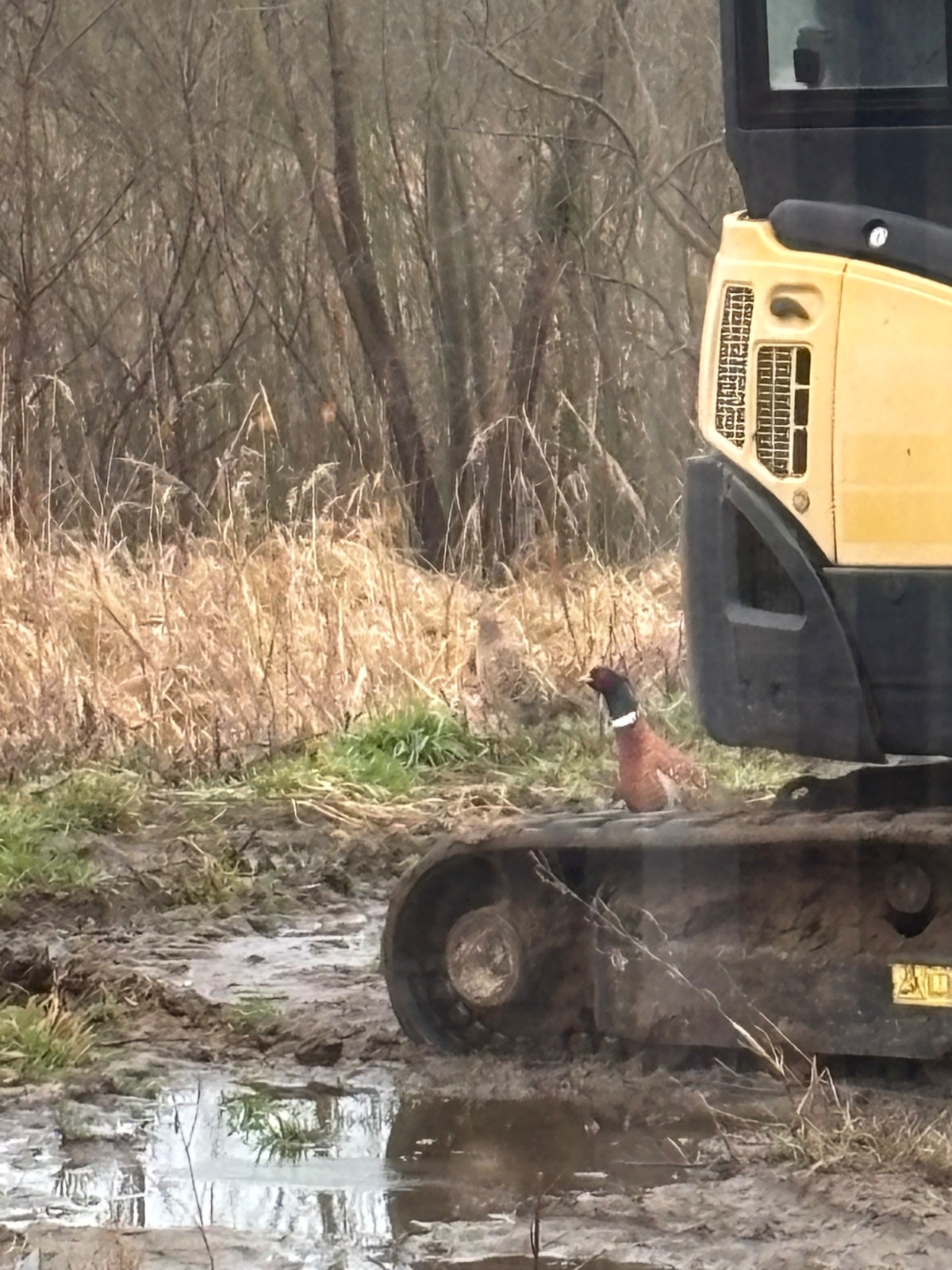 9451aff7-5119-4229-9429-f2682c991172