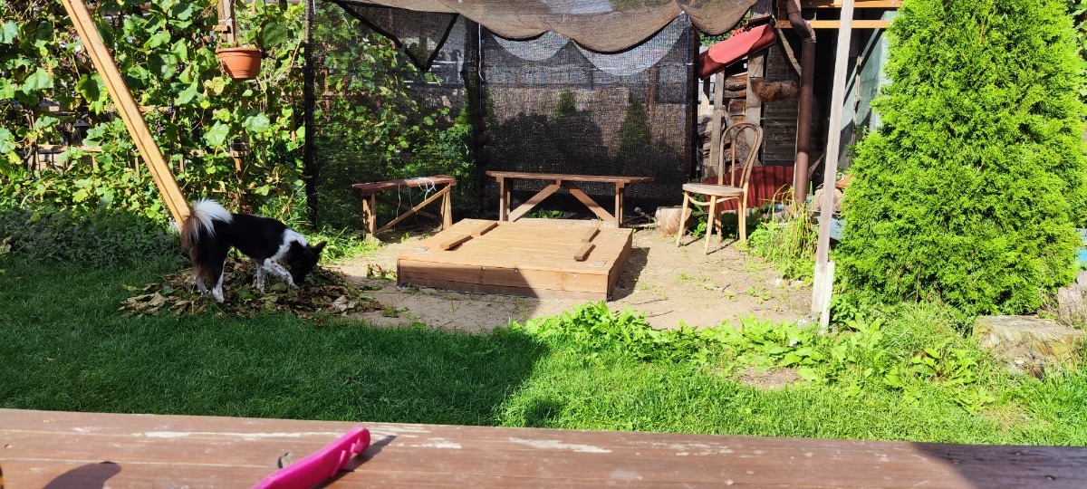 3dd10125-d625-4d91-b498-f4ea90dd99b9