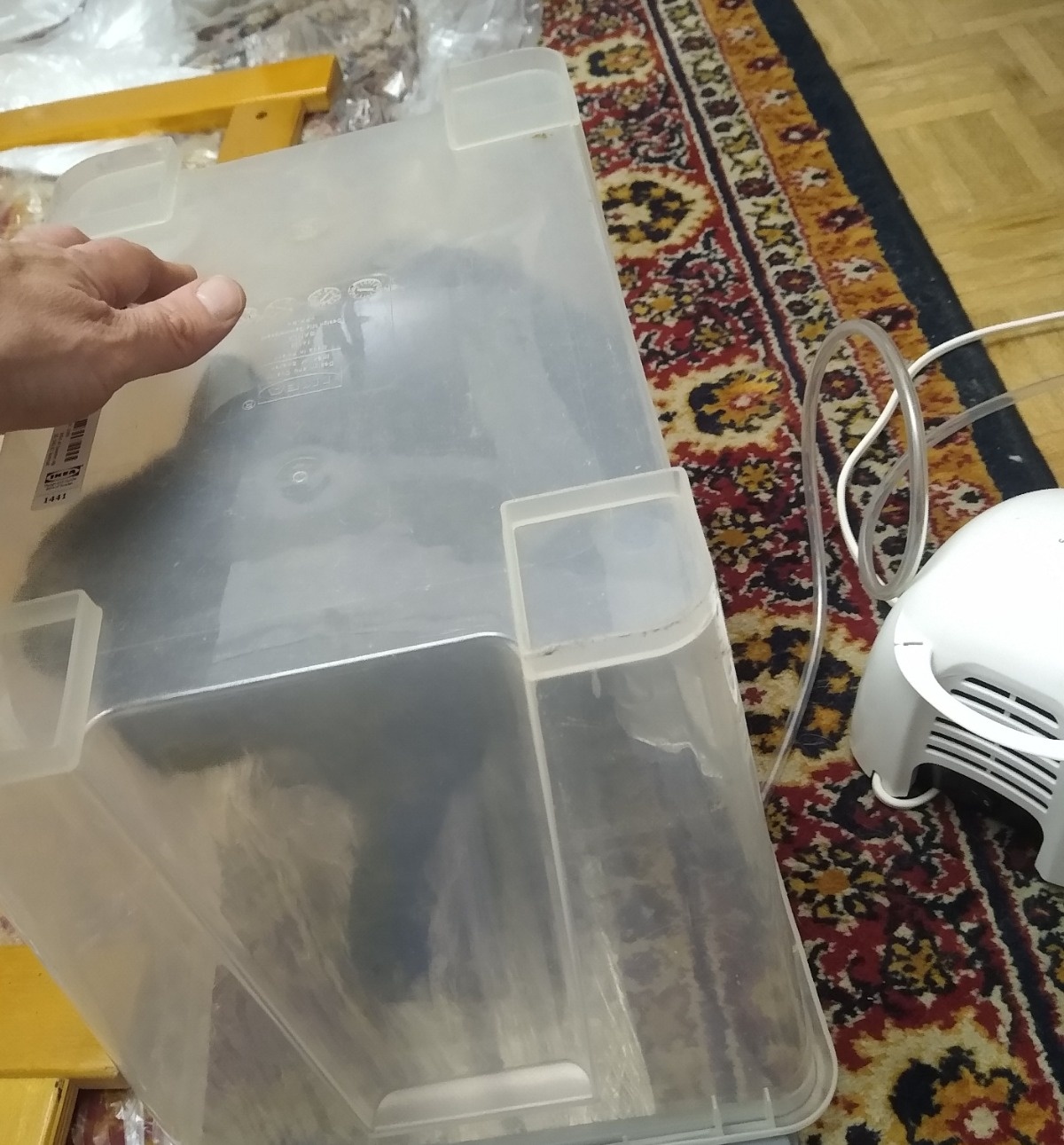 c58ca018-2259-4954-a882-3f8404231c92