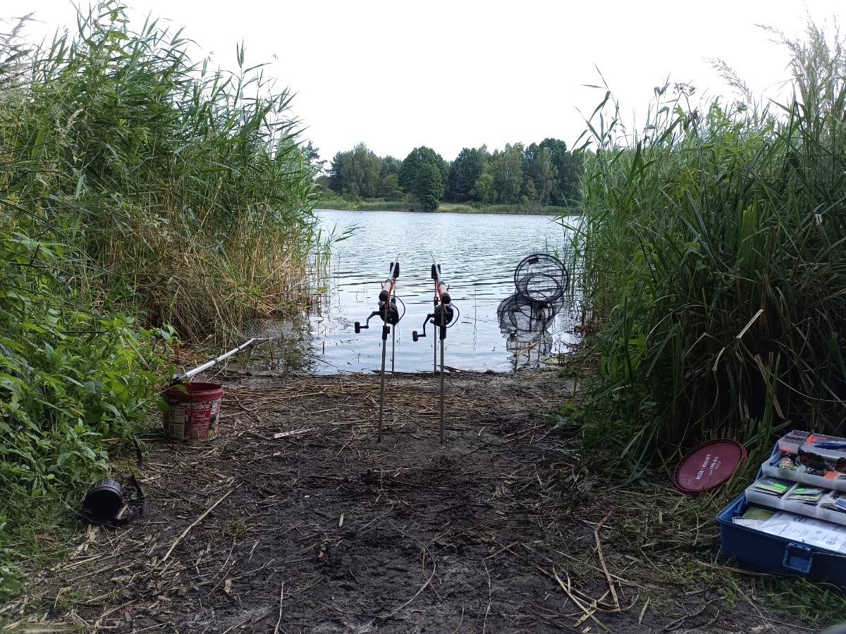 56194c72-2d06-40fd-8301-c0b94e6e7ce4