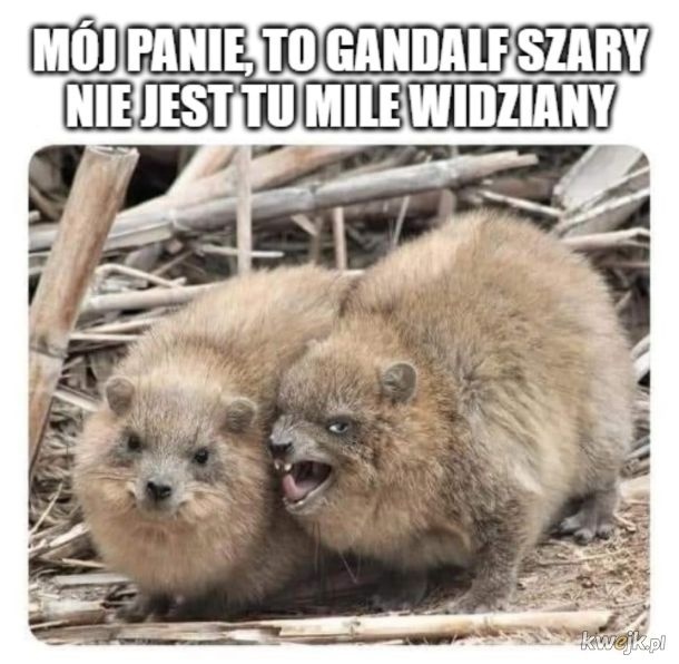 7d691fee-596e-4fcd-8654-03e4dbe02e66