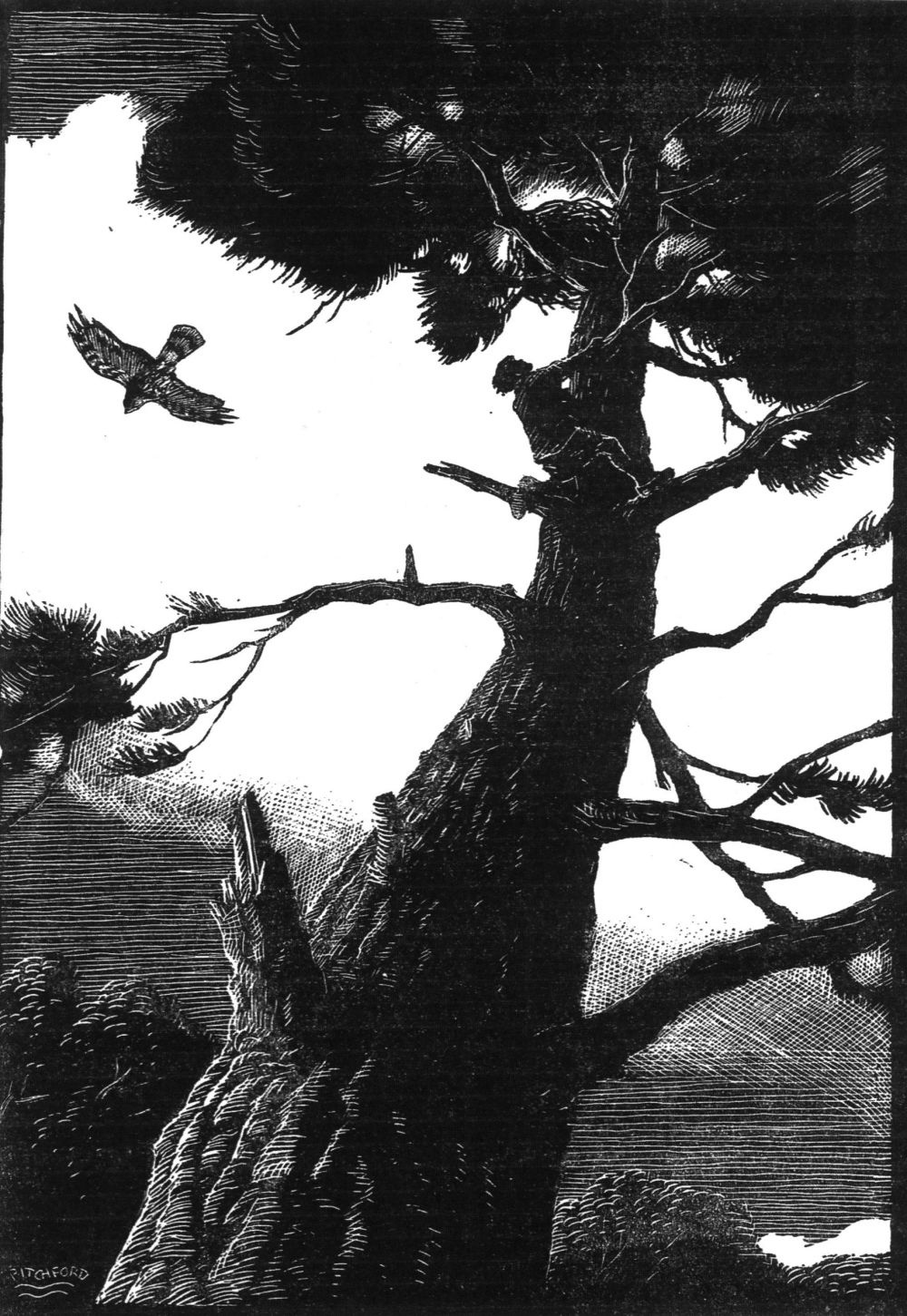 50658c8e-a06f-4a69-a8c7-d919eaee79a3