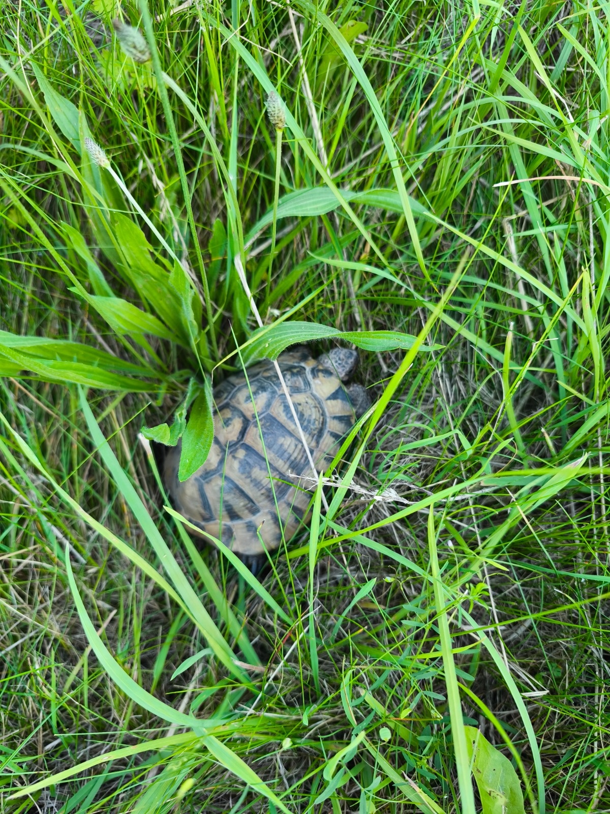 f5d8a2cb-13a7-4439-8ece-4ec98e017f76