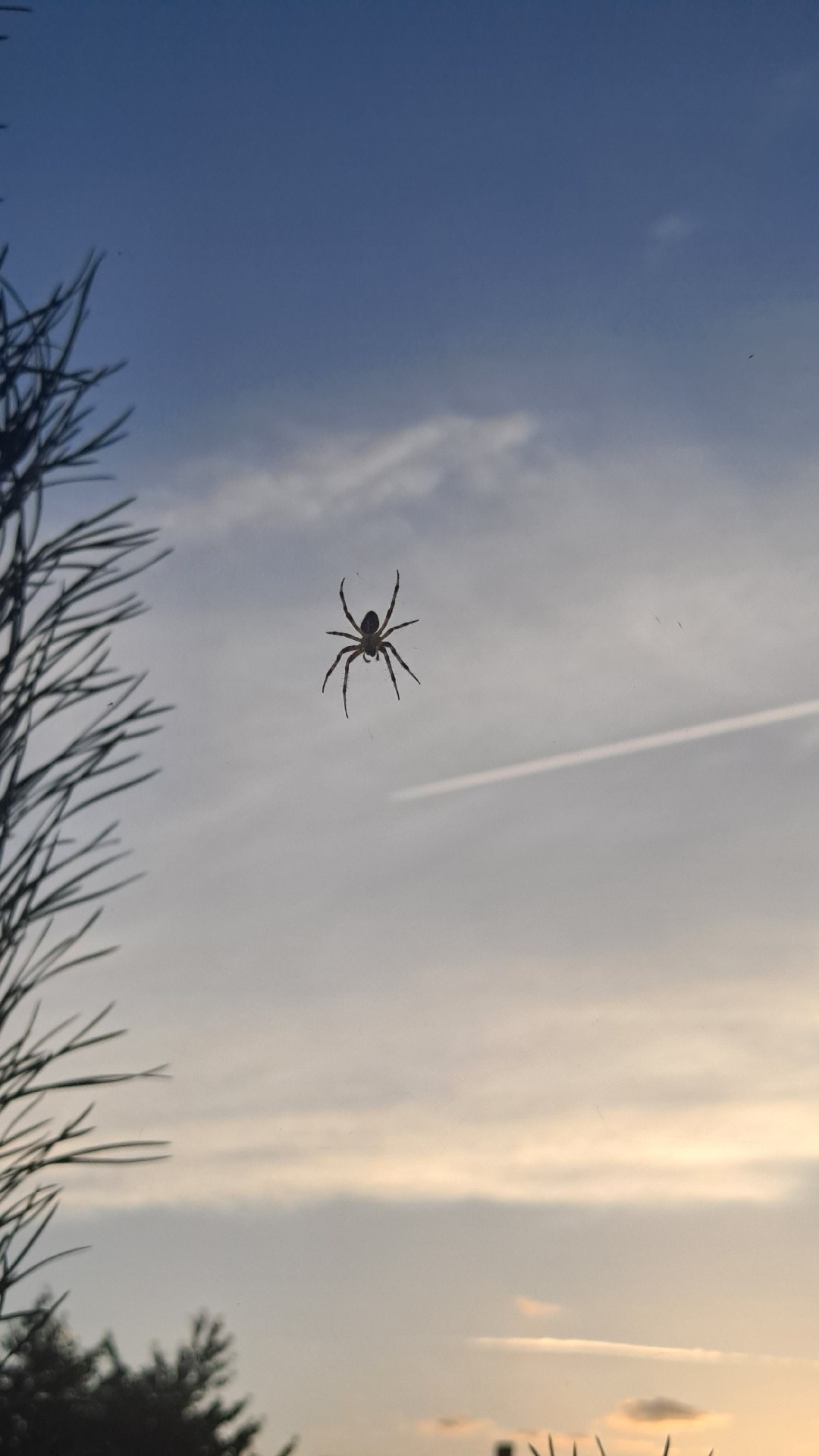 76a66978-68d3-4951-915d-4fad8f5622fe