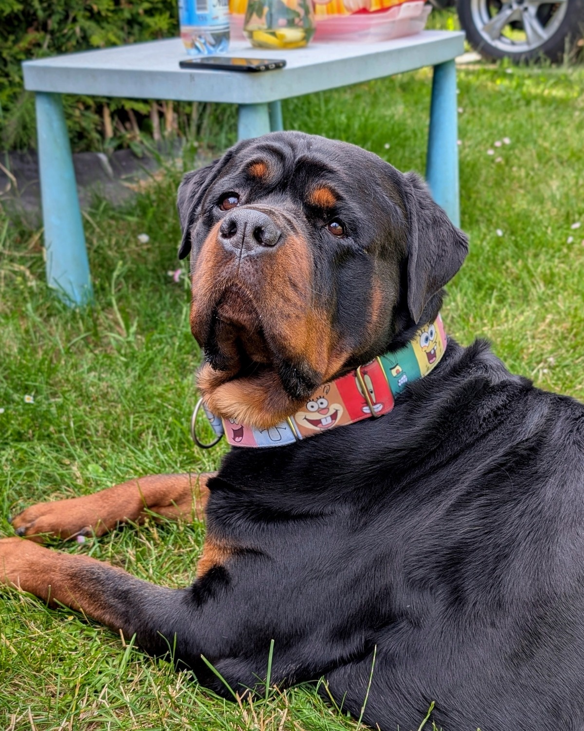 231aad34-28b2-4db9-9506-75aaaa3ce8ec